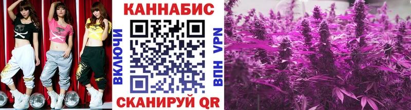 Канабис MAZAR  купить закладку  Судогда 